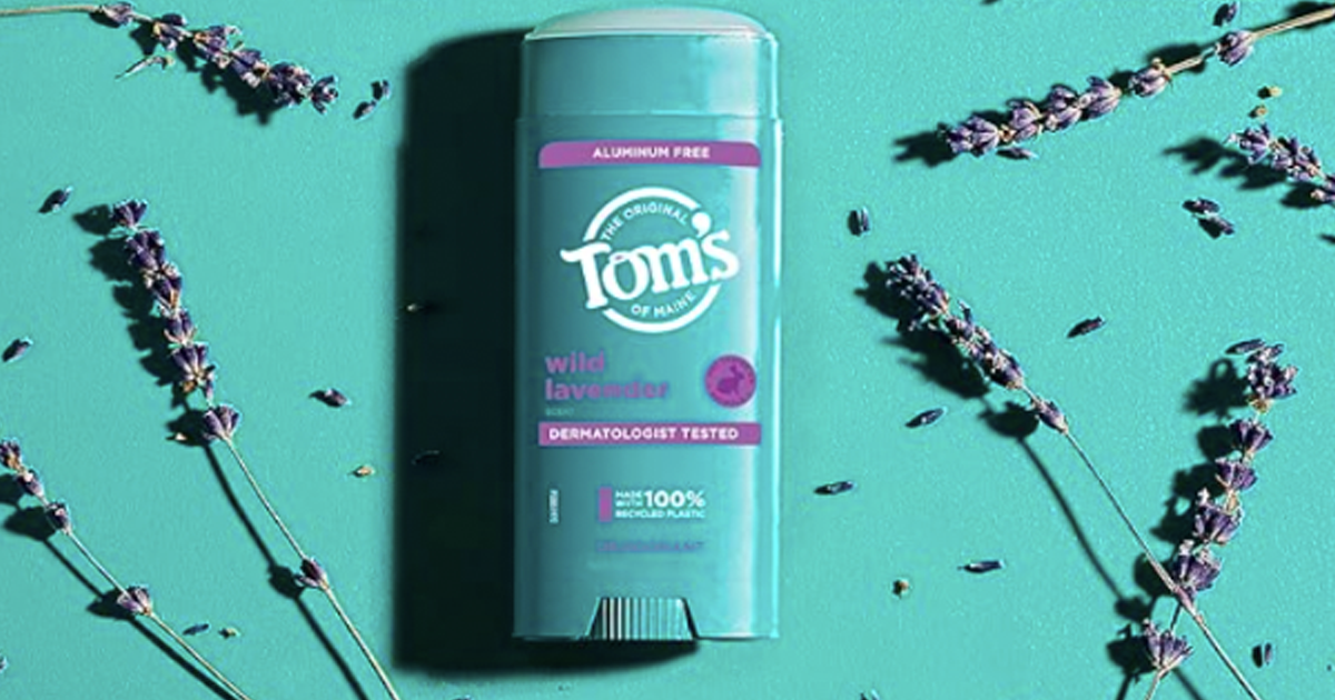 toms wild lavender