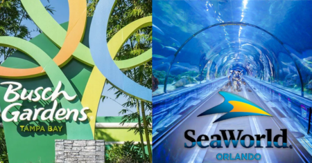 Free Admission to SeaWorld Busch Gardens for U S Veterans Guests
