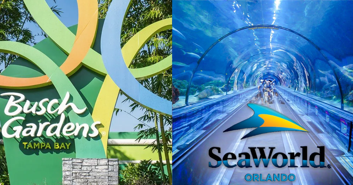 Free Admission to SeaWorld Busch Gardens for U S Veterans Guests Free Admission to SeaWorld Busch Gardens for U S Veterans Guests