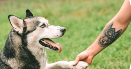 PetSmart Tattoo Redo Contest