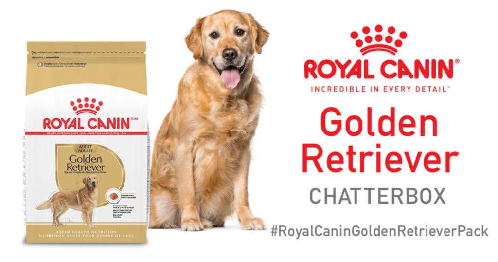 Royal Canin Golden Retriever Chatterbox