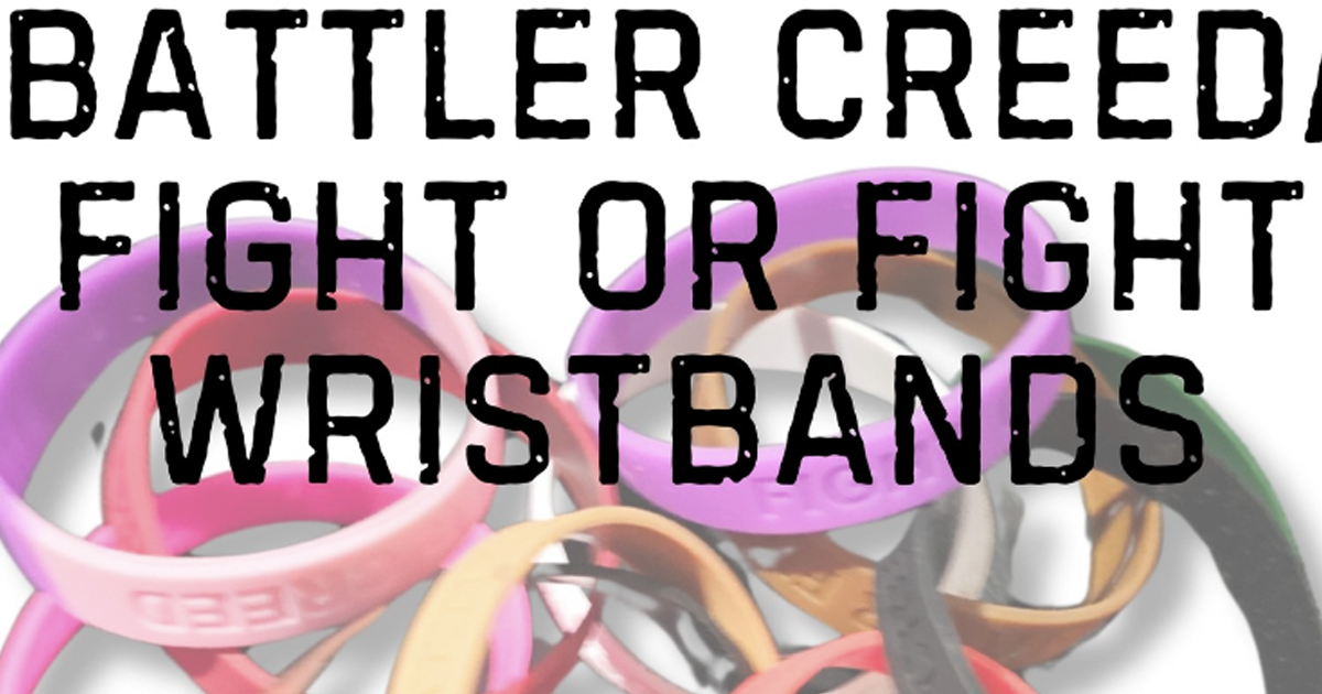 fight or fight fight or fight