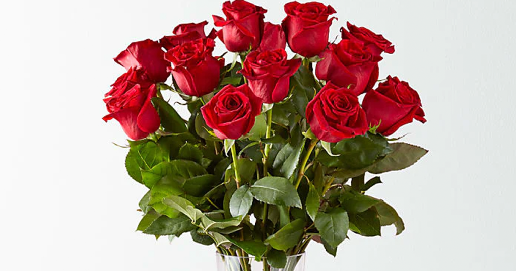 close up of long stem roses