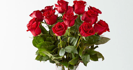 close up of long stem roses