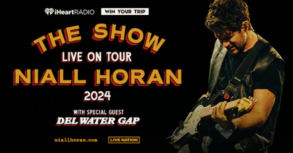 niall horan playing guitar