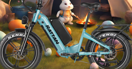 rattan e bike with bunny