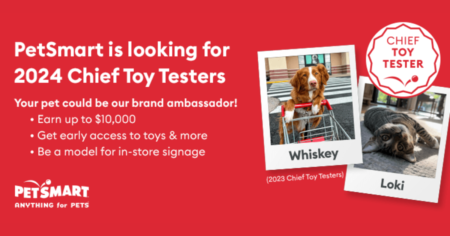 Apply to be a PetSmart Chief Toy Tester!