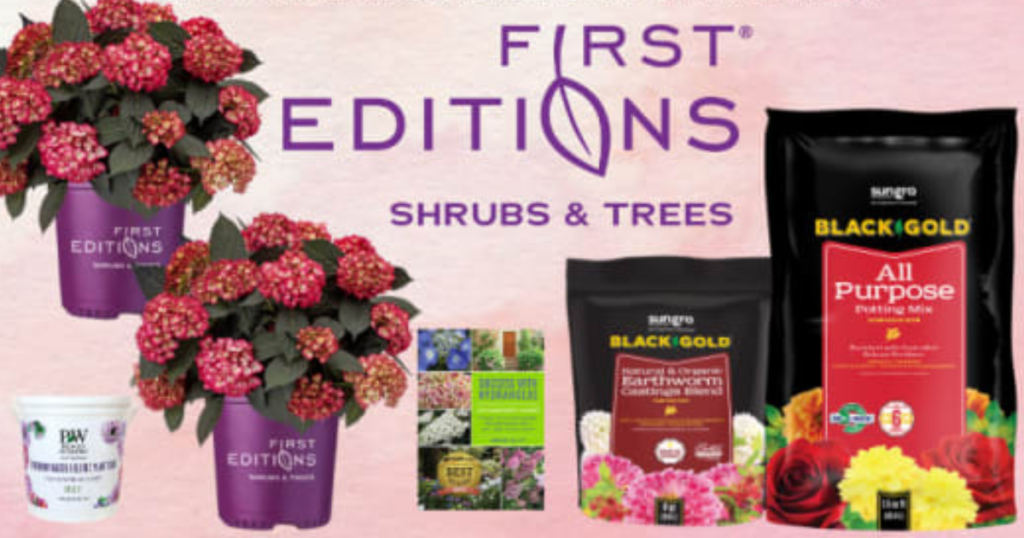 Black Gold Told Eclipse of the Yard Giveaway