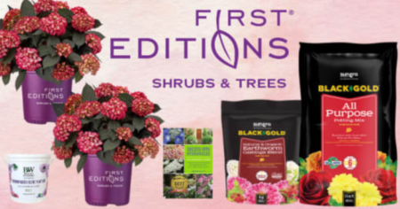 Black Gold Told Eclipse of the Yard Giveaway