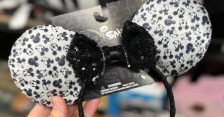 Hand holding Disney Ears