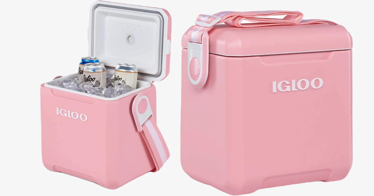 IGLOO COOLER