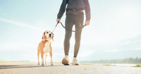 Walking for Exercise Weward