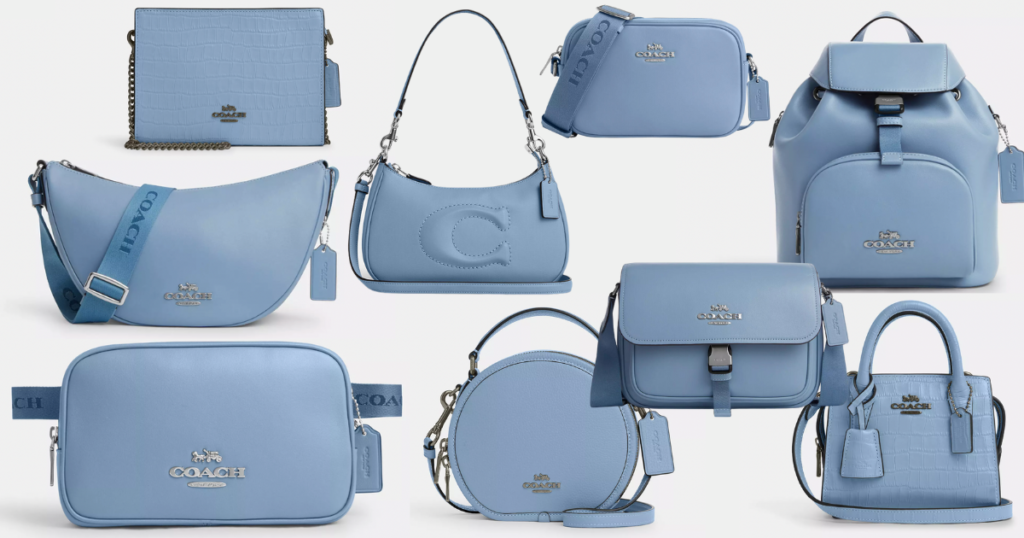 coach blue cornflower