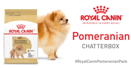 royal canin pomeranian
