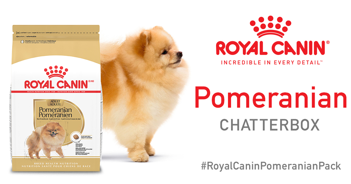 royal canin pomeranian