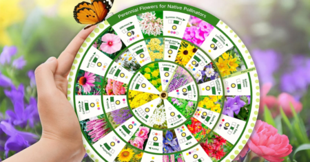 LUSH DEW Buzzing Gardens Blooming Futures Instant Win Game