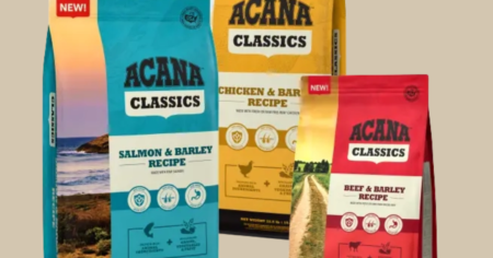 Lights Camera Classics Sweepstakes