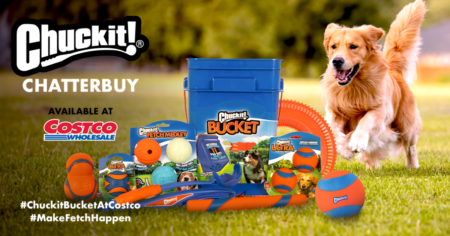 Petmate Chuckit! Chatterbuy with Ripple Street!