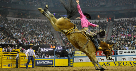 las vegas rodeo