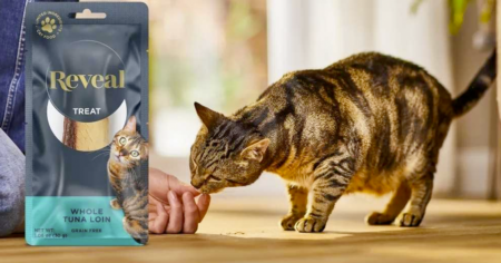 reveal whole tuna loin