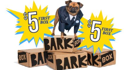 bark box