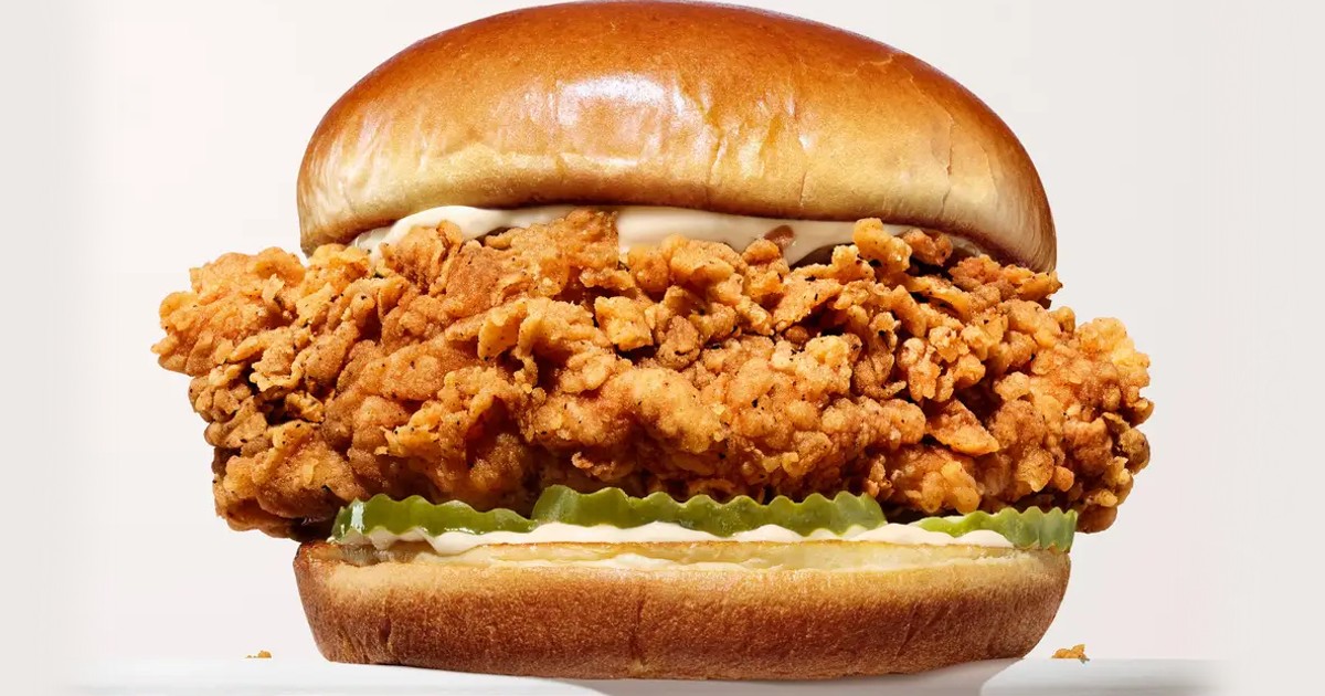 kfc chicken sandwich kfc chicken sandwich