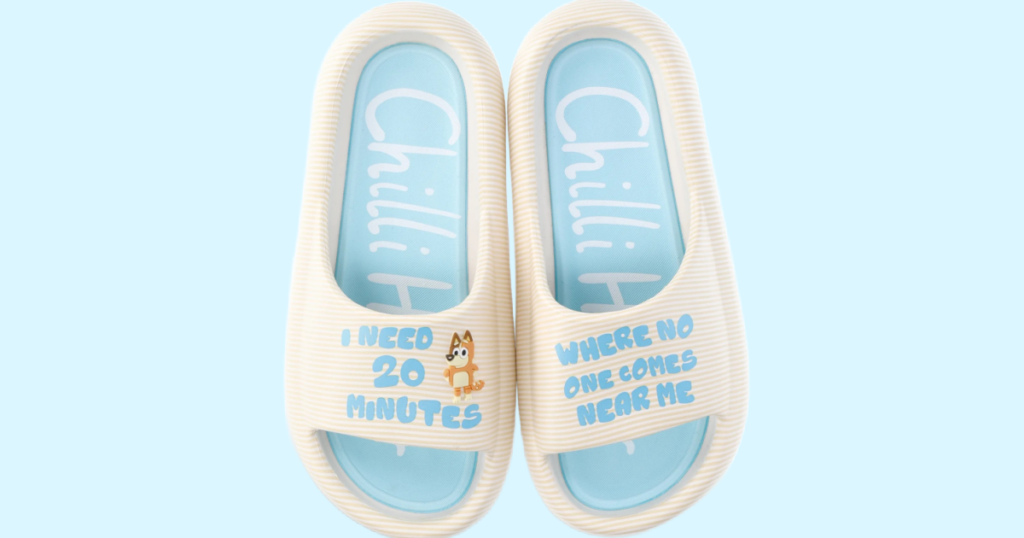 Bluey Slides