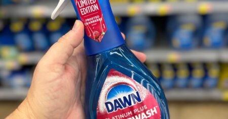 Dawn Powerwash Spray Frosted Cranberry