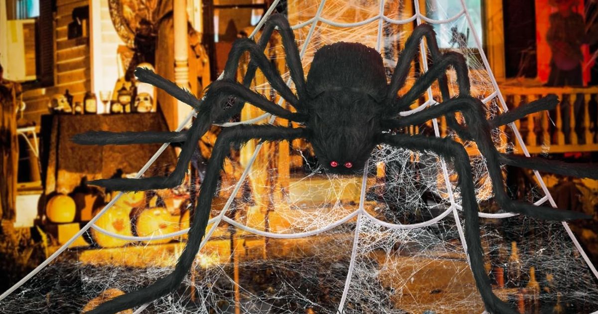 giant spider on a web