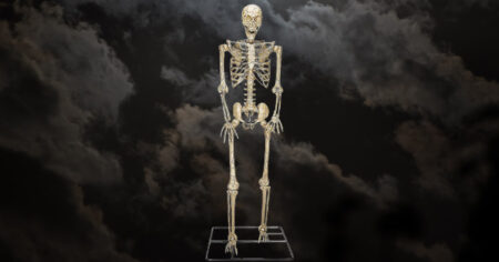 Posable Skeleton Lowe s