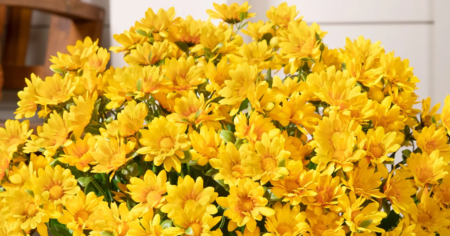 balsam hill fall flowers