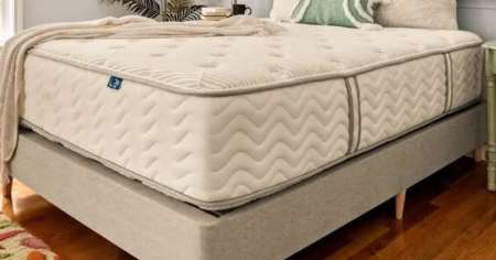 dlx mattress