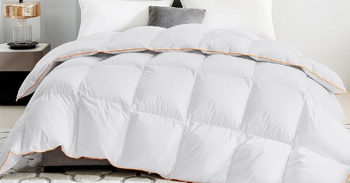 down comforter down comforter