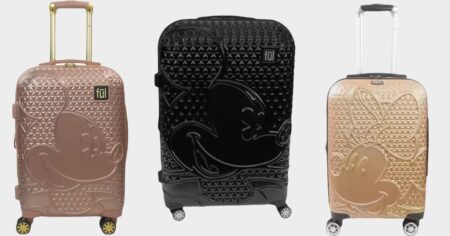 ful disney luggage