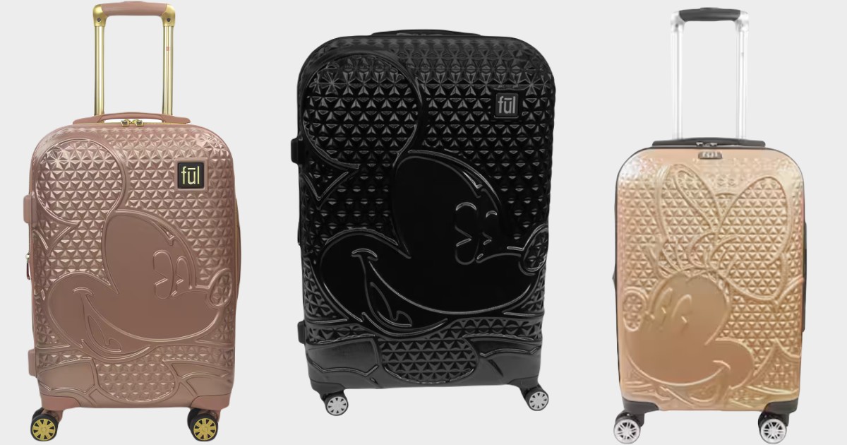 ful disney luggage