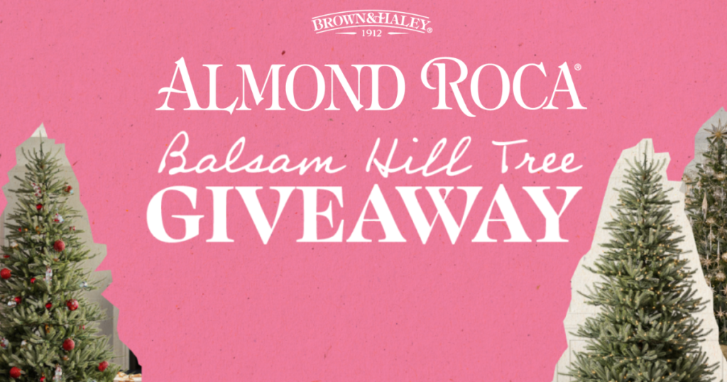 Almond Roca Balsam Hill Christmas Tree Giveaway