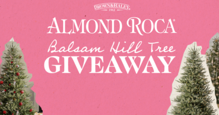 Almond Roca Balsam Hill Christmas Tree Giveaway