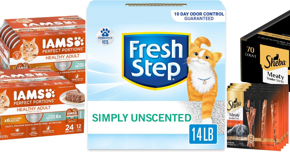 Cats cat food, treats, and litter