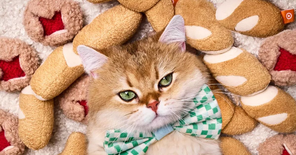 cat wearing a bow tie and surrounded by toys