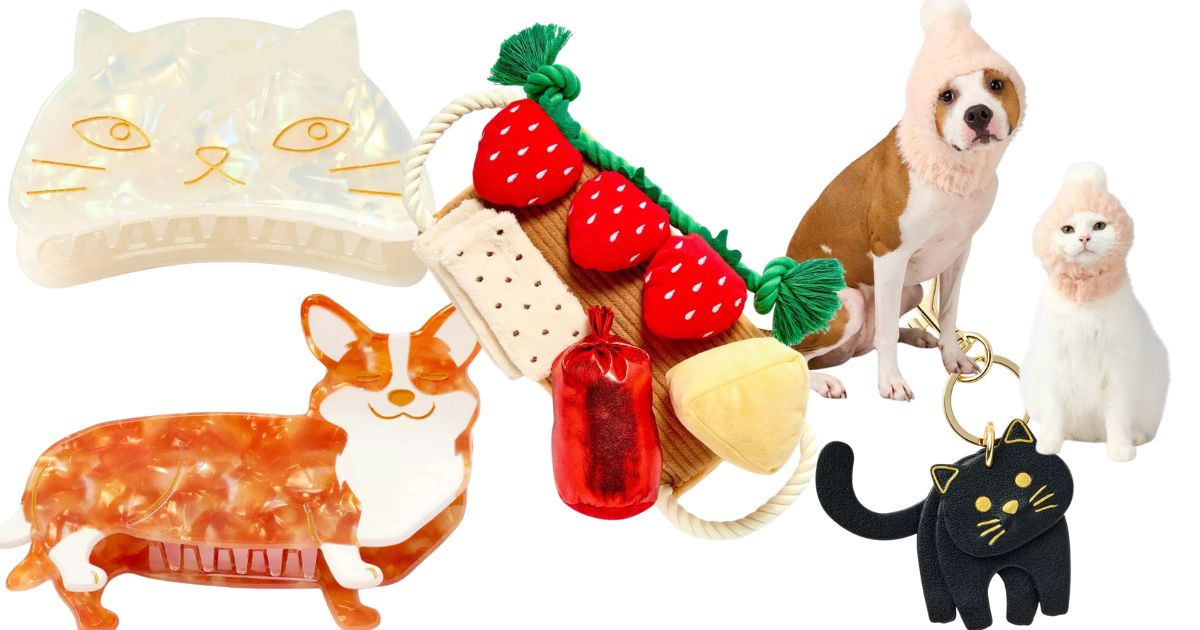 pet toys