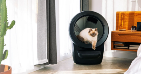 Litter Robot Back to School Giveaway