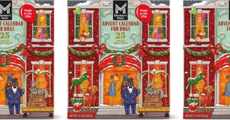 row of dog advent calendars