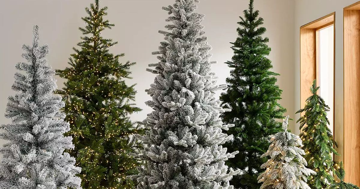 National Tree Company National Tree Company