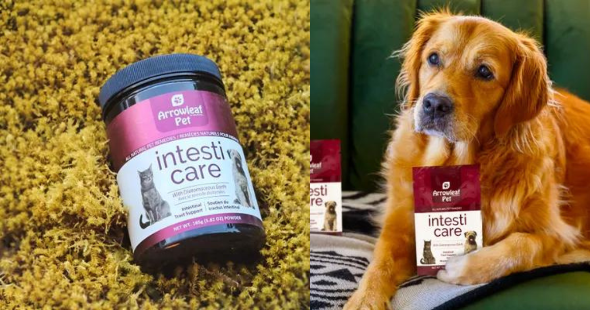 Possible Free Arrowleaf Pet Intesti Care with Peekage