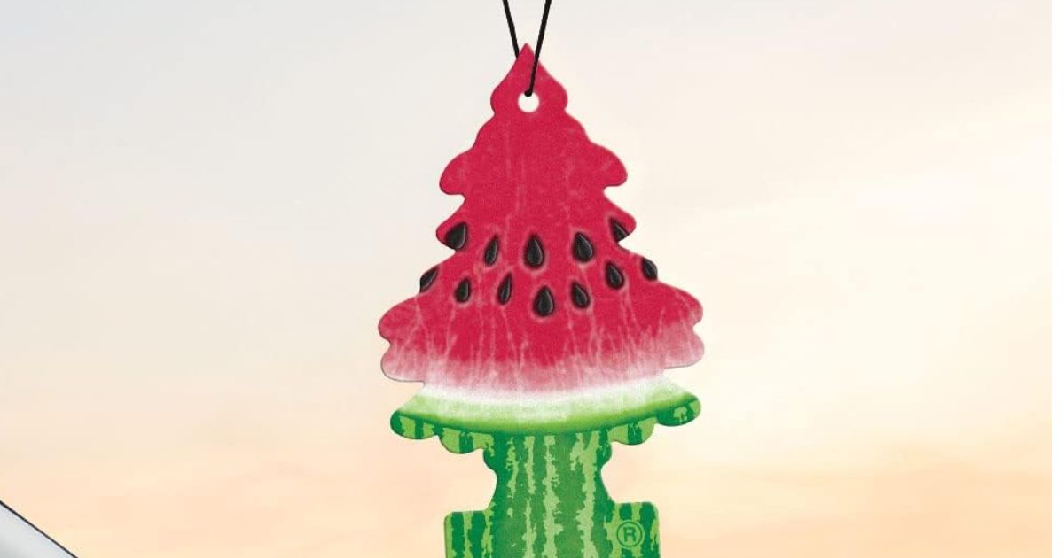 little trees little trees air freshener