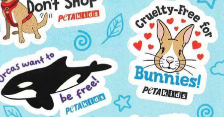 peta sticker