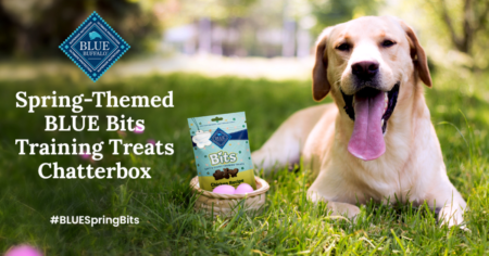 Blue Buffalo Spring Themed BLUE Bits Training Treats Chatterbox