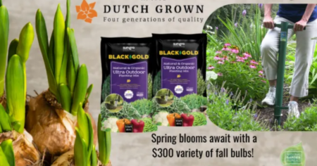 Dutch Grown Fall Bulb Giveaway