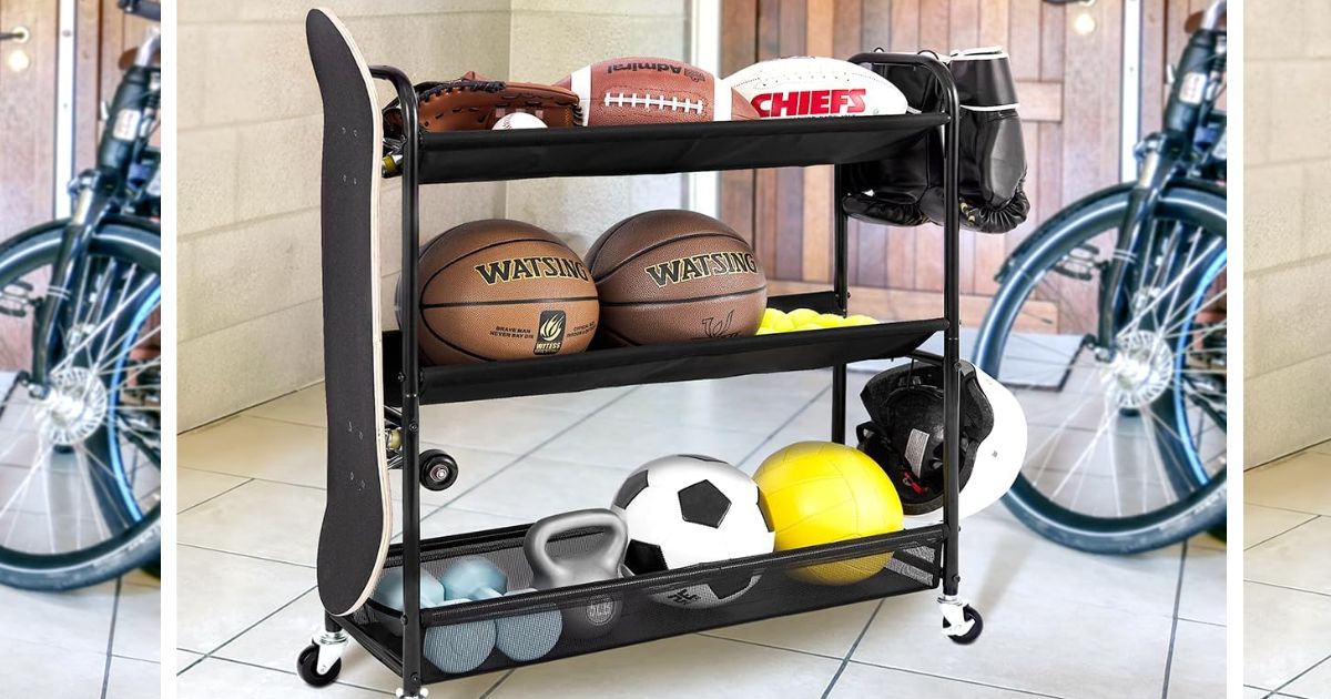 Equipment Organizer Equipment Organizer