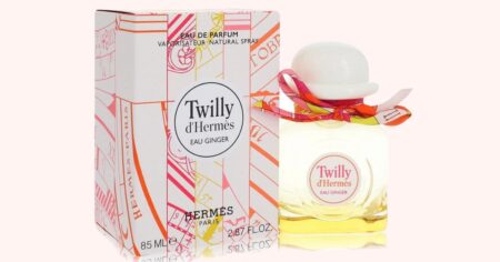 HERMES TWILLY